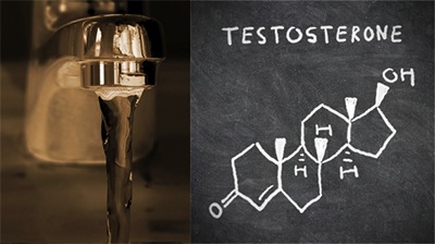 Byproducts in Drinking Water Lower Testosterone Levels