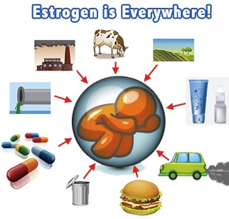 Estrogen is Everywhere