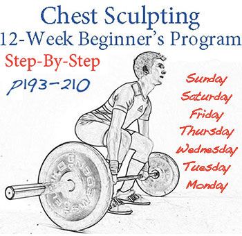 Chest Sculpting 12 Week Beginners Program