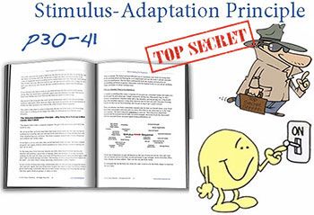 Stimulus Adaptation Principle