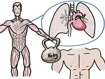 Heart lungs and chest workout