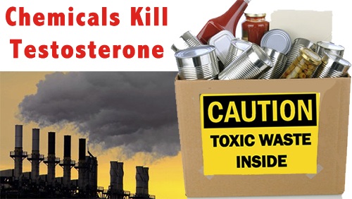 Chemicals Kill Testosterone