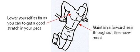 Chest Dips Lower