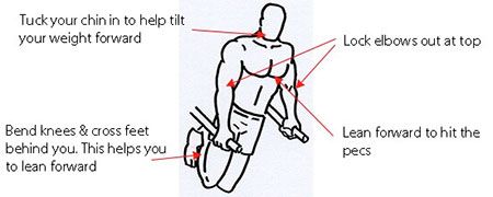 Chest Dips Upper