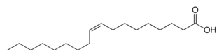 Monounsaturated Fats