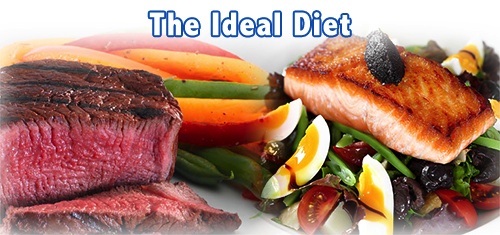 The Ideal Diet