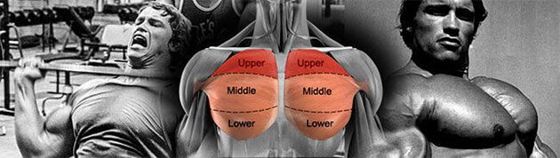 Best upper chest workout for mass