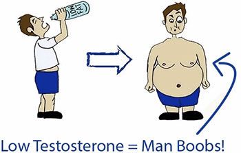 Low fat diet equals low testosterone