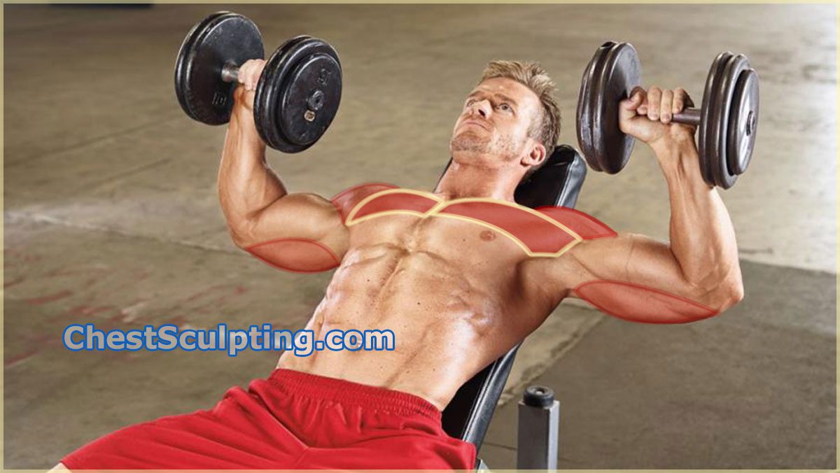 Incline Dumbbell Press - The Best Upper Chest Exercise
