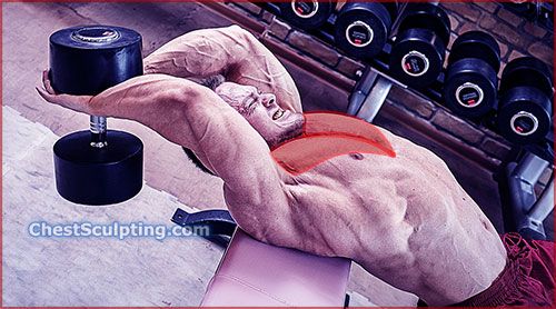 Dumbbell Pullovers