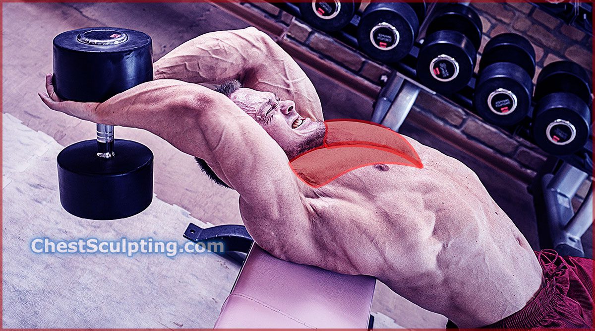 Dumbbell Pullovers