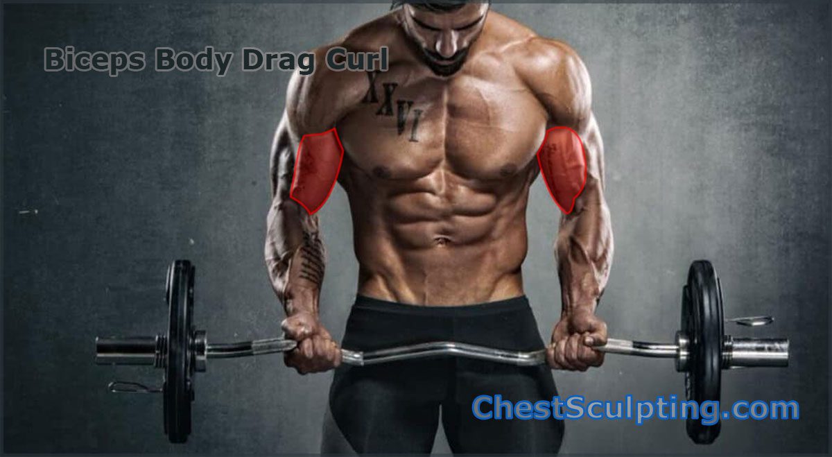 Biceps Body Drag Curl