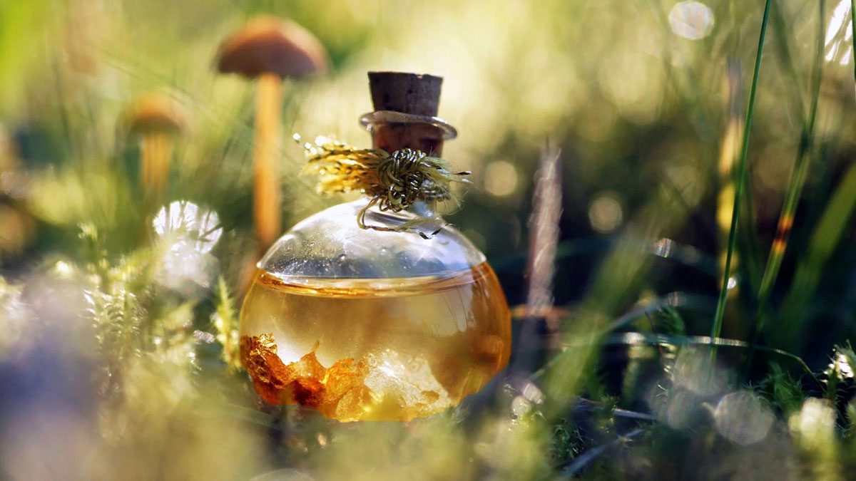 Magic Elixir Of Health