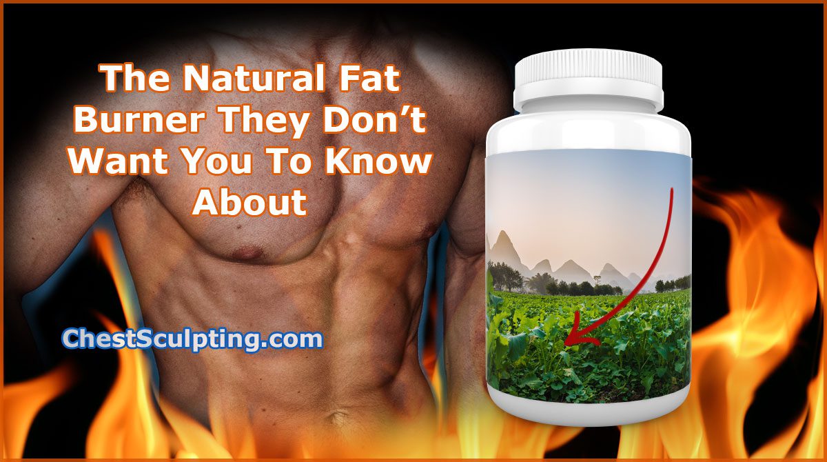 Natural Fat Burner