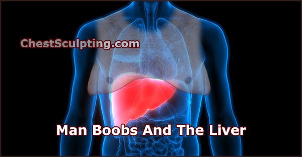 Man Boobs And The Liver