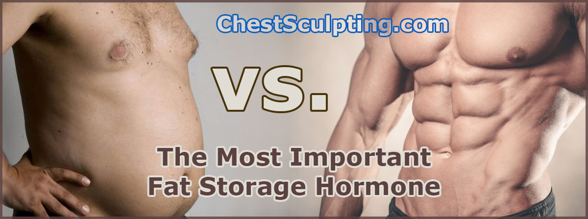 The Most Important Fat Storage Hormone