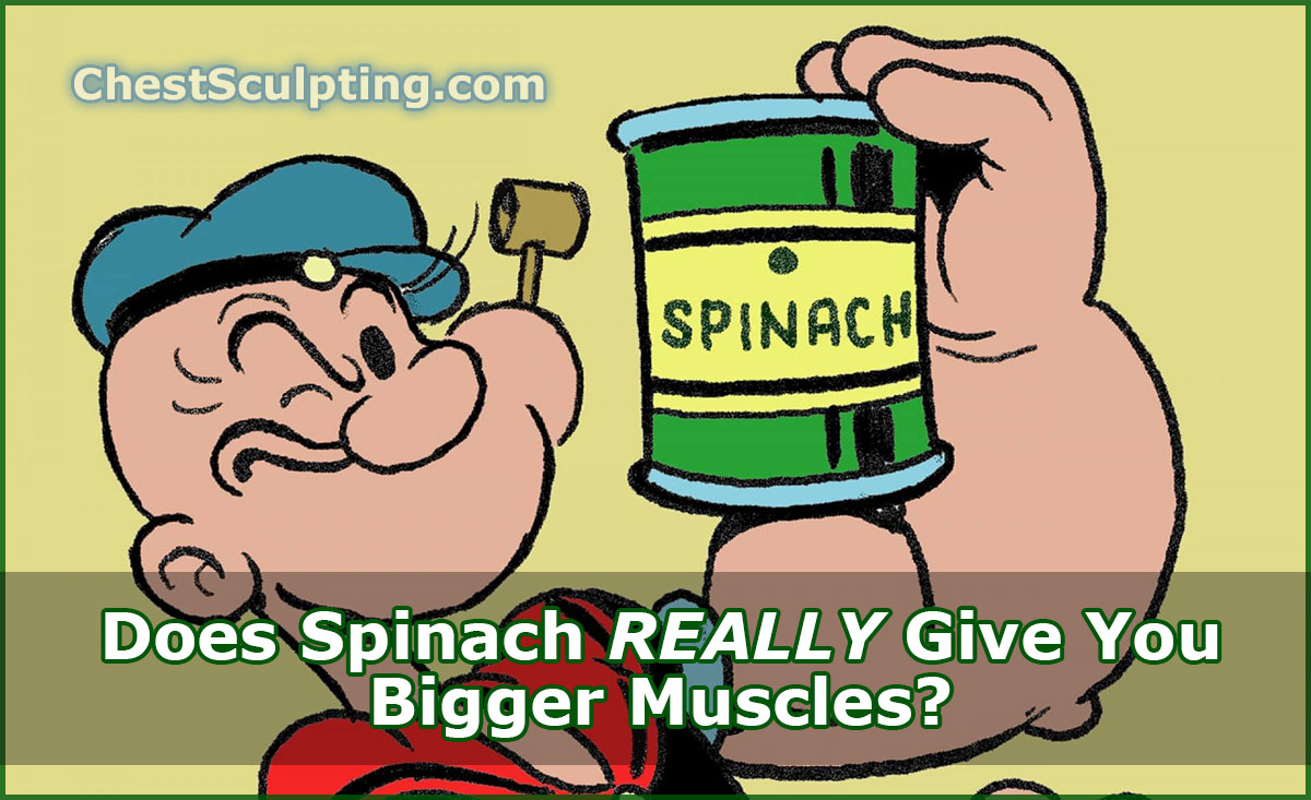 Spinach Bigger Muscles
