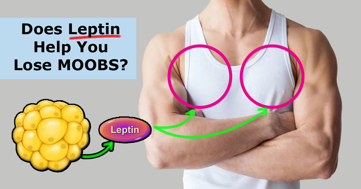 Does Leptin Help You Lose Man Boobs?