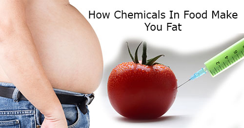 How Chemicals In Food Make You Fat
